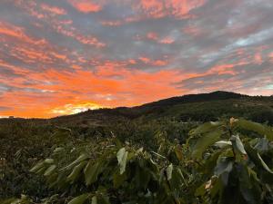 a field of crops with a sunset in the background at Blue Moon Guesthouse in Kamenicë