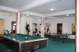 Biliár nebo kulečník v ubytování Sun Village Apartments Zabljak
