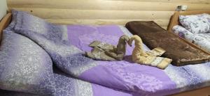 Χώρος καθιστικού στο Homoljski pogled Banja Zdrelo