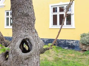 Aed väljaspool majutusasutust 6 person holiday home in Rudkøbing-By Traum