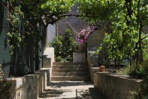 Vonkajšia záhrada v ubytovaní Apartments with a parking space Mali Losinj (Losinj) - 8059