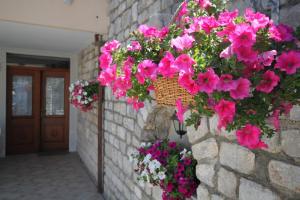 Fotografia z galérie ubytovania Apartments by the sea Osor, Losinj - 8088 v destinácii Nerezine