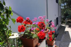 Zahrada ubytování Apartments by the sea Artatore, Losinj - 7935