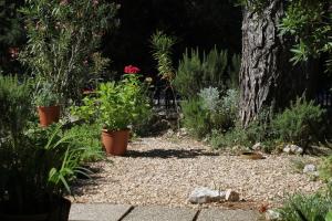 Vonkajšia záhrada v ubytovaní Apartments with parking spaces Artatore, Losinj - 8087