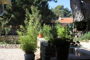 Vonkajšia záhrada v ubytovaní Apartments with parking spaces Artatore, Losinj - 8087