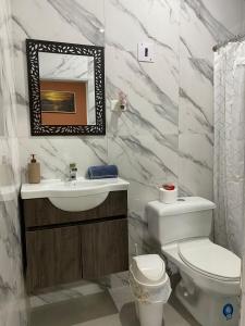 曼塔的住宿－Flavio Reyes，一间带卫生间、水槽和镜子的浴室