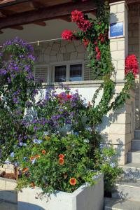 Fotografie z fotogalerie ubytování Apartment Zaklopatica 8341c v destinaci Lastovo + 11 fotografií