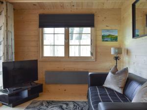 ein Wohnzimmer mit einem Sofa und einem TV in der Unterkunft Pinewood Cabin in Saline