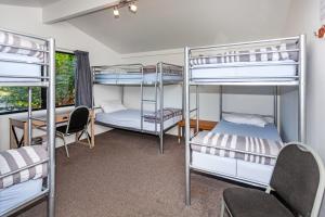 Cette chambre comprend 4 lits superposés et une fenêtre. dans l'établissement Tidewater Motel and Budget Accommodation, à Coromandel