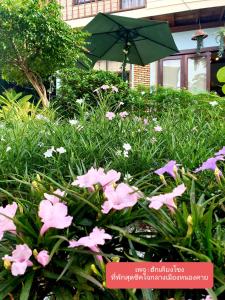einen Garten mit rosa Blumen und einem Sonnenschirm in der Unterkunft ฮักเคียงโขง HUG Khieng Khong Nongkhai Hostel in Nong Khai