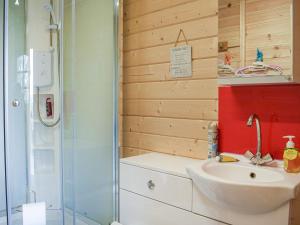 uma casa de banho com um lavatório e uma cabina de duche em vidro. em Moonlight View - Uk35187 em Newtown