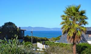 a palm tree and a view of the ocean at Chesham House in Hermanus