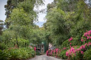 a garden with pink flowers and a green house at Avoca Park Equestrian Farmstay in Macclesfield