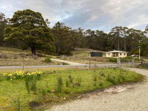 una strada sterrata con un campo di erba e fiori di Aruma Cottage Bruny Island ad Alonnah
