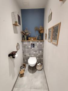 a bathroom with a toilet and a tile wall at Ravissante Suite 90m2 près des bord de Loire in Saint-Julien-de-Concelles