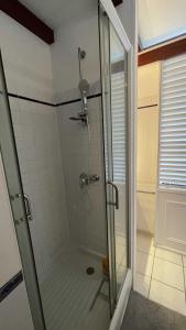 a shower with a glass door in a bathroom at Appartement La Cannelle in Les Trois-Îlets