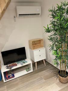 a living room with a tv and a table with a plant at Le 39 bis in Jalhay