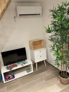 TV a/nebo společenská místnost v ubytování Le 39 bis