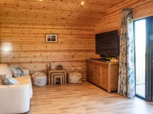 a living room with a couch and a television at Cabin Hideaways, Glenfyne - Uk38362 in Mattishall