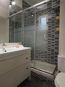 bagno con doccia, lavandino e servizi igienici di La Plaza de Mondariz a Madrid