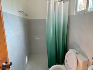 a bathroom with a green shower curtain and a toilet at Coconut Inn Moalboal in Moalboal