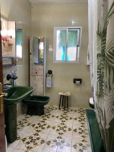 een badkamer met een groene wastafel en een douche bij Barrero 47 in Igualeja