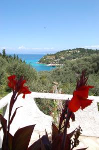 a red flower in front of a view of the ocean at Kanoni Beach Apartments in Lákka