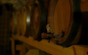 a close up of a nobasteryasteryasteryasteryasteryasteryasteryasteryasteryastery at Cascina Ciosse B&B in Grognardo +33 photos