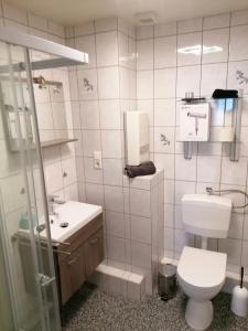 a bathroom with a toilet and a sink at Ferienwohnung Körner in Saarbrücken