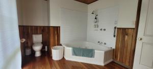 a bathroom with a bath tub and a toilet at Tall Trees Eco Retreat - Blackwood Cottage in Apollo Bay +38 photos