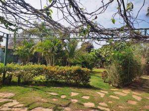 een tuin met kleurrijke bloemen en planten bij Casa do Sossego in Brasilia