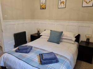 a bed with two blue pillows on top of it at Superb Loch Side Apartment with Sea & Sunset Views in Helensburgh