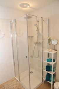 a shower with a glass door in a bathroom at Seepferdchen in Greetsiel