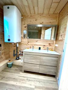 a bathroom with a sink and a mirror at La cabane au pied des pistes in Chastreix