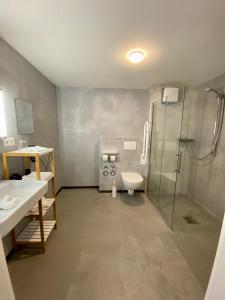 a bathroom with a shower and a toilet and a sink at The Layhead B&B in Lübeck