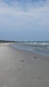 Plage de l'appartement ou située à proximité