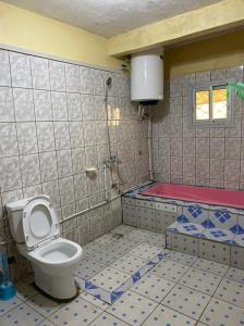 a bathroom with a toilet and a tub at Apex guest facility in Buea