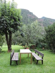 Príroda v okolí apartmánu