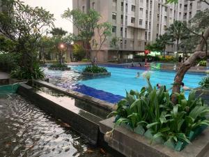 une piscine dans une ville où les gens nagent dans l'établissement Bright cozy studio 1BR Cityview, SmartTV,FAST Wifi at Greenbay Pluit, à Jakarta