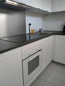 kuchnia ze zlewem i blatem w obiekcie La Bernaudine bis w mieście Annonay +3 zdjęcia