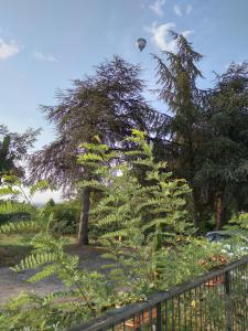 une montgolfière survolant un jardin avec des plantes dans l'établissement La Bernaudine bis, à Annonay