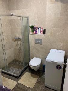 ein Bad mit einer Dusche und einem WC in der Unterkunft Apartment Pahuljica in Travnik
