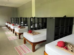 a row of beds lined up in a room at Khao Sok Jungle Hostel in Khao Sok National Park