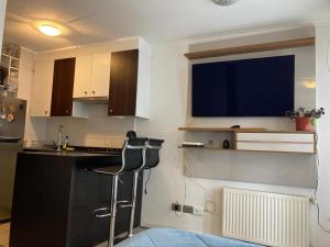 Kuchyň nebo kuchyňský kout v ubytování Departamento Estudio cerca terminal de Viña