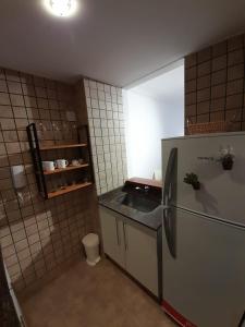 eine kleine Küche mit Kühlschrank und Spüle in der Unterkunft Elsina1 in Salta