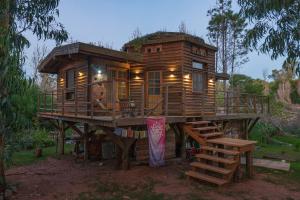 a tree house on a platform with a staircase at Flor de Vida Geocabañas - Casa Gala in La Esmeralda 
