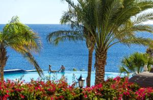 einen Pool mit Palmen und dem Meer in der Unterkunft Concorde El Salam Sharm El Sheikh Front Hotel in Sharm El Sheikh