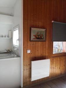una camera con una parete in legno, una TV e una finestra di Studio with free parking Nice terrace Free WiFi connection a Ginevra