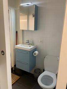 a bathroom with a white toilet and a sink at L'Arlequin- studio tout confort- Coeur de ville in Chinon