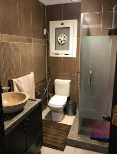 カイロにあるclassy doublex apartments in cairoのバスルーム(トイレ、洗面台、シャワー付)